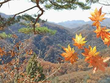 馮遠(yuǎn)征談演員臺(tái)詞問題，演藝行業(yè)困境與改變之路的觀察與反思