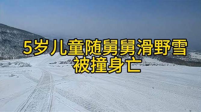 5歲兒童隨舅舅滑野雪遭遇車禍身亡的悲劇事件